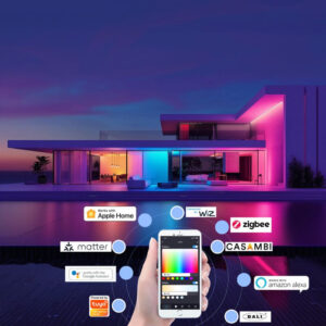 Kits d'automatisation de la maison intelligente, interrupteurs intelligents, éclairage, commande vocale, contrôle par application
